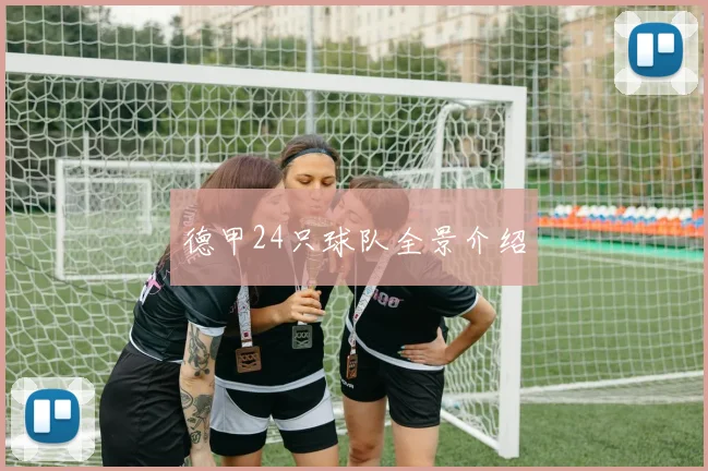 德甲24只球队全景介绍