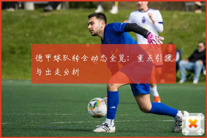 德甲球队转会动态全览:重点引援与出走分析