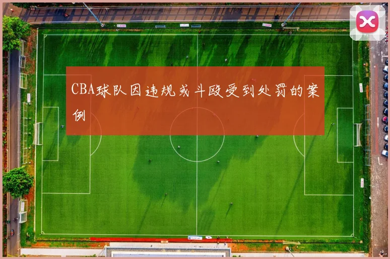 CBA球队因违规或斗殴受到处罚的案例